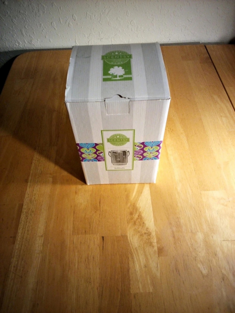 Scentsy Solitude Wax Warmer in White & Green NWT